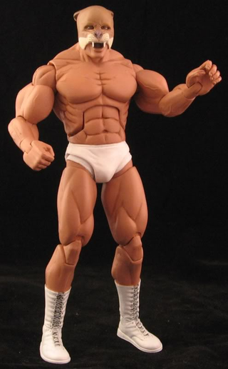 Illustration for article titled A Winner is These Custom NES Pro Wrestling Figures